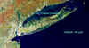 NYTIFCJPG.jpg (148624 bytes)